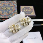 Dior earrings