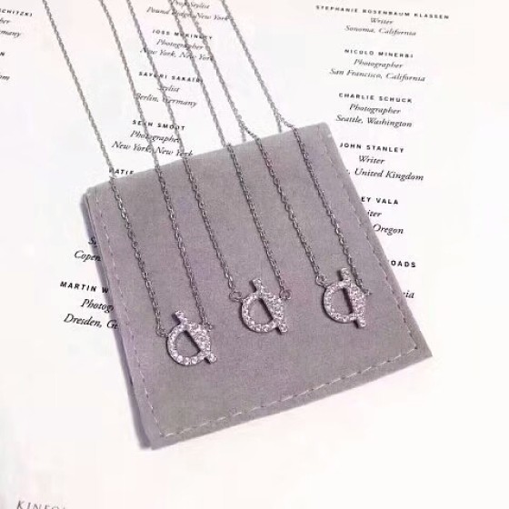 Hermes necklace