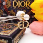 Dior earrings