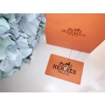 Hermes necklace