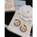 Dior earrings