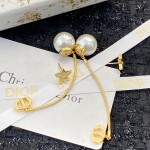 Dior earrings