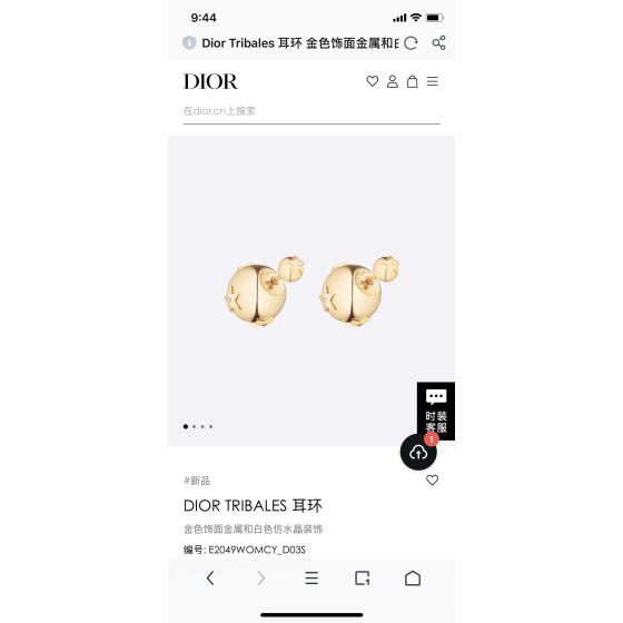 Dior earrings