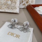 Dior earrings