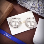 Dior earrings