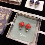 Dior earrings
