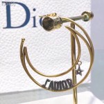 Dior earrings