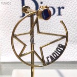 Dior earrings