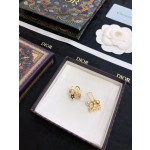 Dior earrings