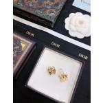 Dior earrings