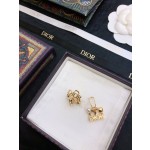 Dior earrings