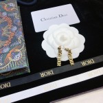Dior earrings