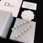 Dior earrings
