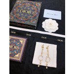 Dior earrings