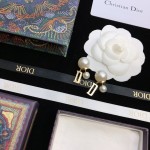 Dior earrings