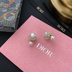 Dior earrings