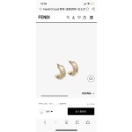 Fendi Earrings
