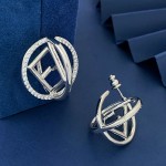 Fendi Earrings