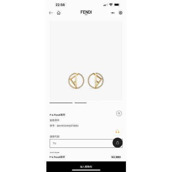 Fendi Earrings
