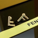 Fendi Earrings