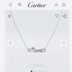 Cartier necklace