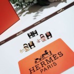 Hermes Earrings