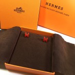 Hermes Earrings