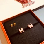 Hermes Earrings