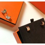 Hermes Earrings