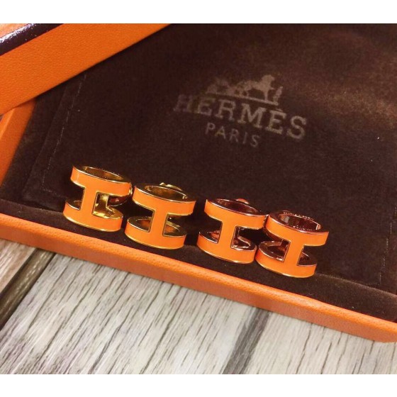 Hermes Earrings