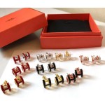 Hermes Earrings