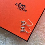 Hermes Earrings