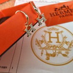 Hermes Earrings