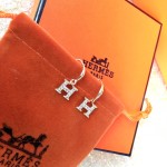 Hermes Earrings