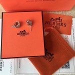 Hermes Earrings