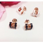 Hermes Earrings