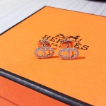 Hermes Earrings
