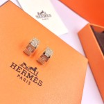 Hermes Earrings