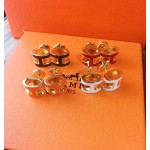 Hermes Earrings