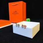 Hermes Earrings