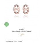 Hermes Earrings