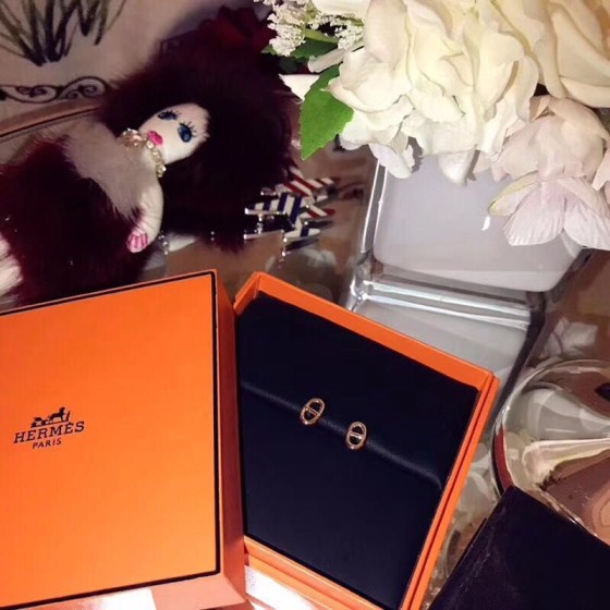 Hermes Earrings