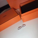 Hermes Earrings