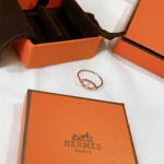 Hermes Earrings