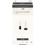 Hermes Earrings
