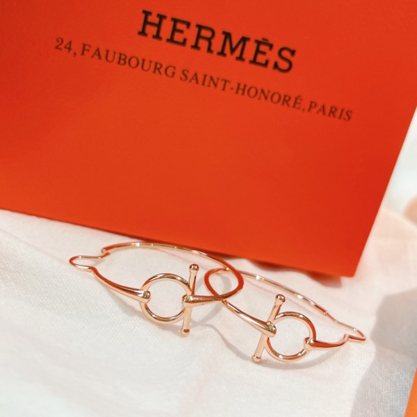 Hermes Earrings