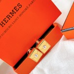 Hermes Earrings