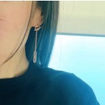 Hermes Earrings