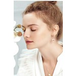 Hermes Earrings