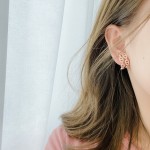 Hermes Earrings